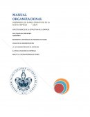 Manual organización de la empresa " UBER"