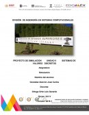 PROYECTO DE SIMULACION UNIDAD II SISTEMAS DE VALORES DISCRETOS