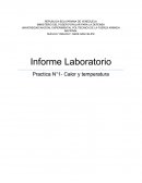 Informe Laboratorio Practica N°1- Calor y temperatura
