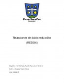 Reacciones de óxido-reducción (REDOX)