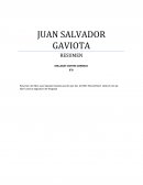 Resumen Salvador Gaviota