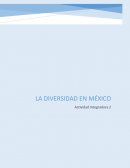 La diversidad en México. Prácticas de partería