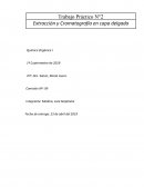 Trabajo Práctico N°2 Extracción y Cromatografía en capa delgada