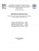 REPORTE DE PRACTICA NO.2 ÓXIDOS BÁSICOS Y ÓXIDOS ÁCIDOS Y MANEJO DE SUSTANCIA