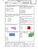 Prueba Matemática: Unidades de medidas, perímetro, área y volumen