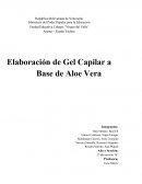 Elaboración de Gel Capilar a Base de Aloe Vera