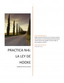 PRACTICA Nº6: LA LEY DE HOOKE