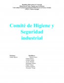 ¿Que es un comité de higiene y seguridad industrial?
