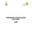 PROGRAMA CAPACITACIÓN MMC/MMP