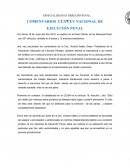 COMENTARIOS A LA LEY NACIONAL DE EJECUCIÓN PENAL