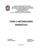 METABOLISMO ENERGÉTICO