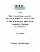 Estudio sobre los procesos de producción, distribución y consumo de la Caña de Azúcar y derivados en los países desarrollados y subdesarrollados