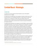 Cavidad Bucal- Histologia