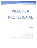 Práctica Profesional II Las Instituciones Educativas