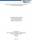 PROYECTO DE AULA IMPORTACIONES, EXPORTACIONES Y BALANZA COMERCIAL DE COLOMBIA (2005-2020)