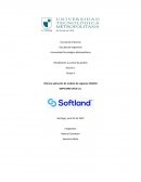 Informe aplicación de modelo de negocios CANVAS SOFTLAND CHILE S.A