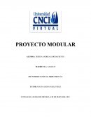 Proyecto Modular