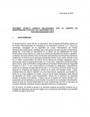 DICTAMEN TÉCNICO JURÍDICO RELACIONADO CON LA CARPETA DE INVESTIGACION: CI-FVC/VC-1/UI-1 S/D/00166/01-2010