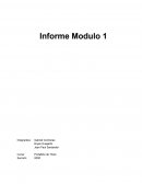 Informe Modulo 1 empresa “Portafolio S.A”