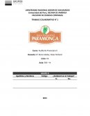 Auditoria fInanciera - Paramonga S.A.A.
