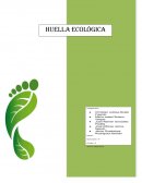 Ensayo Huella Ecologica