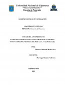 EL PROCESO COMERCIAL B2B Y LA RENTABILIDAD DE LA EMPRESA VISTONY COMPAÑÍA INDUSTRIAL DEL PERÚ S.A.C. - CAJAMARCA 2022
