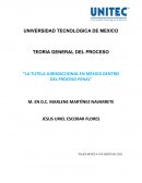 LA TUTELA JURISDICCIONAL EN MÉXICO DENTRO DEL PROCESO PENAL
