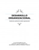 Fundamentos y aplicación de modelos organizacionales