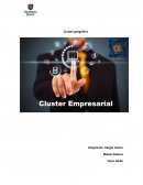 Los Clusters en el Mercado Chileno (ASESORIAS Y EJEMPLO)