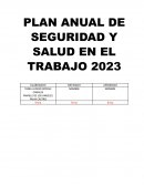 PLAN ANUAL DE SEGURIDAD Y SALUD EN EL TRABAJO 2023