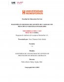 Programa de Auditoría de la empresa Martimillas S.A.