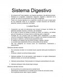 Generalidades Sistema digestivo