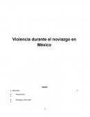 Violencia durante el noviazgo en México