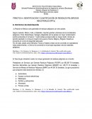 Práctica 4. identificación y cuantificación de residuos peligrosos industriales (rpi’S)