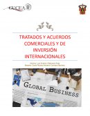 Tratados y acuerdos comerciales y de inversión internacionales