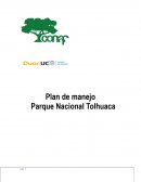 Plan de manejo Parque Nacional Tolhuaca