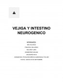Vejiga y intestino neurogénico