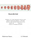 Resumen neonatal