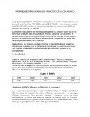 Informe auditoría de análisis financiero Celulosa Arauco