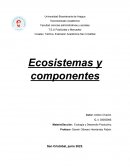 Ecosistemas y biomas