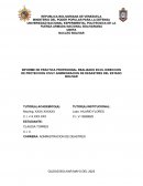 Informe de práctica profesional realizado en el direccion de proteccion civil y adminisracion de desastres del Estado Bolivar