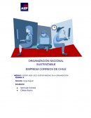 Organización Nacional Sustentable, empresa Correos de Chile