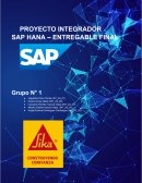 Proyecto SAP - Empresa Sika Perú S.A