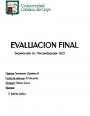 Evaluación final Seminario Optativo II: Juego y aprendizaje