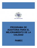 Programa de auditoria para el mejoramiento de la calidad en salud (PAMEC)