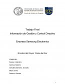 Información de Gestión y Control Directivo. Empresa Samsung Electronics
