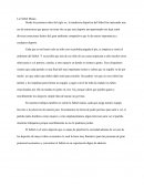 La futbol Mania