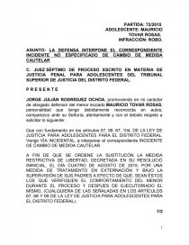 Solicitud de medidas cautelares para adolescentes - Ensayos - jojulian