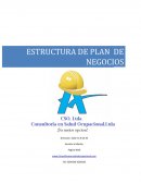 PASOS EN LA CONFORMACION DE UNA EMPRESA