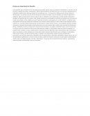 Porque es importante la filosofía (opinión )